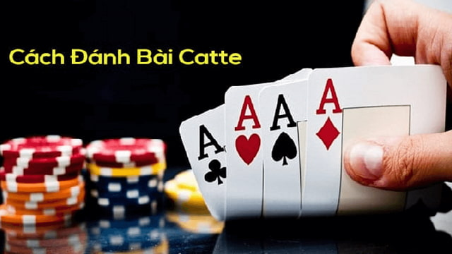 Hướng dẫn cách đánh bài Catte chi tiết nhất